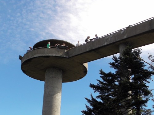 A concrete observation tower with people on top, surrounded by trees and a clear blue sky.