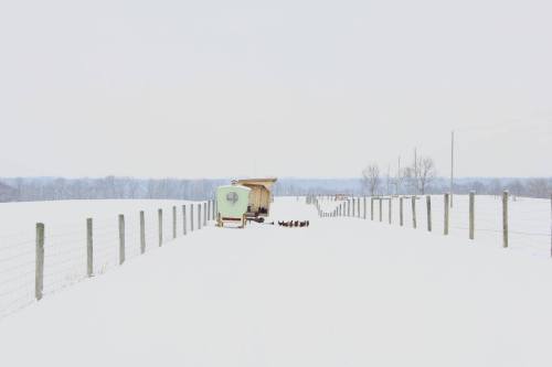 A snowy landscape with a small trailer and a line of chickens near a fence, under a pale sky.