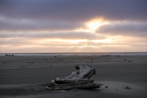 A weathered log on a sandy beach with a dramatic sunset and clouds in the background, casting rays of light.