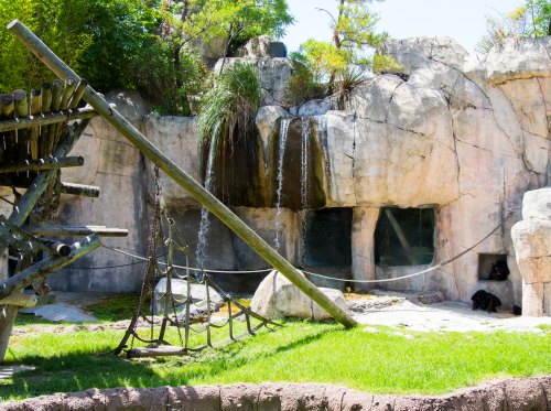 A zoo enclosure featuring rocky terrain, a waterfall, and a climbing structure with green grass in the foreground.