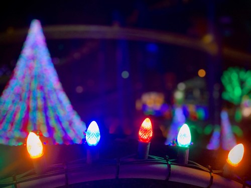 Colorful holiday lights in the foreground with a brightly lit Christmas tree in the background.