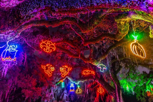 Colorful neon lights shaped like various animals and plants hang from a tree, creating a vibrant nighttime display.