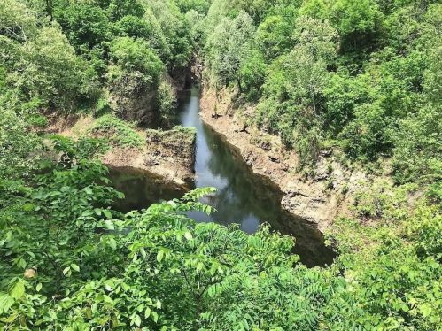 A serene river winding through lush green trees and rocky cliffs in a natural landscape.