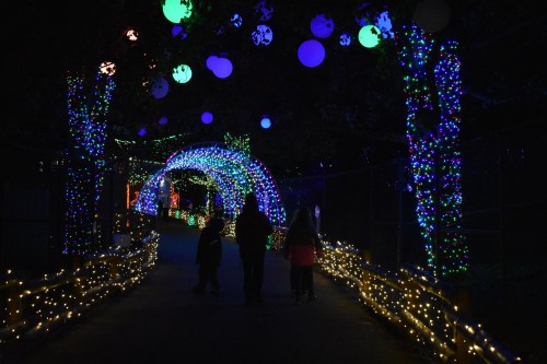 A pathway illuminated with colorful lights and decorations, with people walking under a glowing arch.
