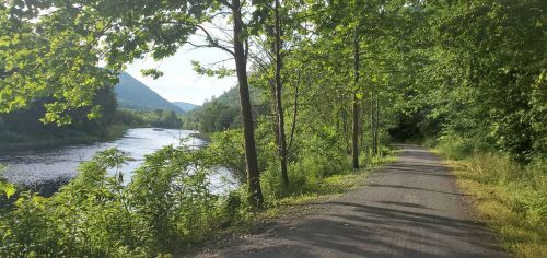 A peaceful riverside path lined with trees, leading into a green landscape and distant hills under a clear sky.