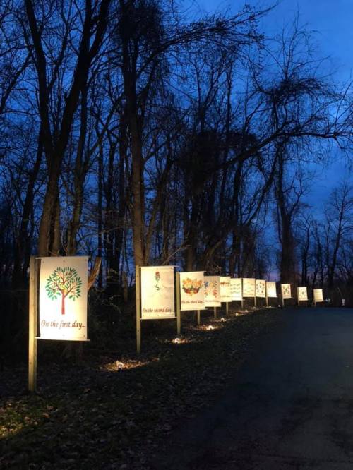 A dimly lit path lined with illuminated signs featuring colorful illustrations and text, surrounded by trees at dusk.