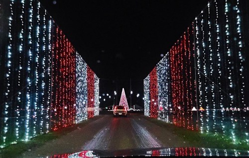 A car drives through a festive light display with red, white, and blue lights, leading to a lit Christmas tree.
