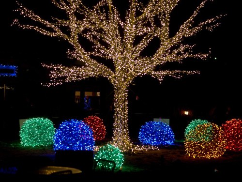 A tree adorned with white lights surrounded by colorful, illuminated orbs in a nighttime setting.