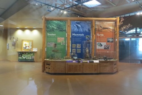 Exhibit showcasing snakes, mammals, and turtles with informative panels in a nature center.
