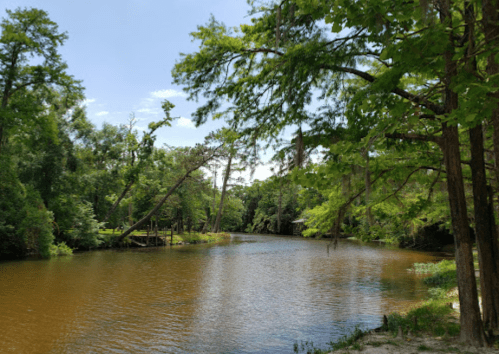 A serene river scene surrounded by lush green trees and a clear blue sky, reflecting nature's tranquility.