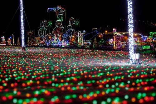 A vibrant display of colorful holiday lights covering the ground, with festive decorations in the background.