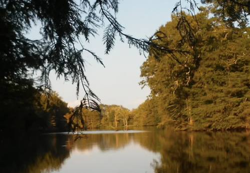 A serene lake surrounded by trees, reflecting the sky and foliage in calm waters during golden hour.
