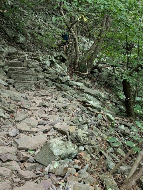 Rocky hiking trail surrounded by trees, with a person climbing in the background.