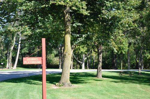 A sign reading "Squirrel Playground" in a green park with trees and a picnic area in the background.