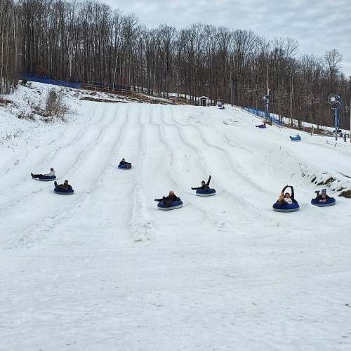 People tubing down a snowy hill, surrounded by trees and a cloudy sky.