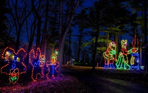 Colorful holiday lights illuminate trees and figures in a nighttime forest setting, creating a festive atmosphere.