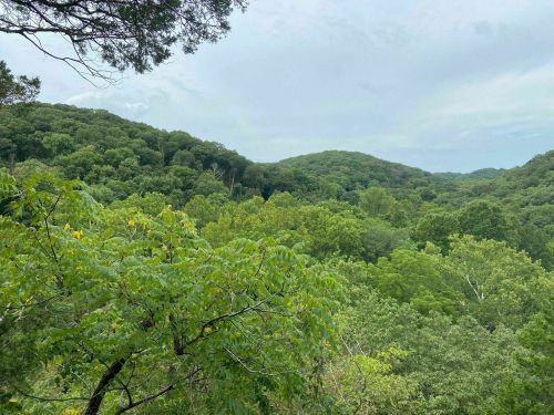 Lush green hills under a cloudy sky, with dense trees covering the landscape.