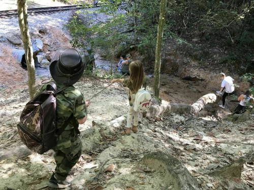 A child in camouflage and a girl with a backpack explore a wooded area near a stream, with adults in the background.