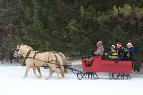 A horse-drawn sleigh carries four people in winter attire through a snowy landscape, surrounded by evergreen trees.