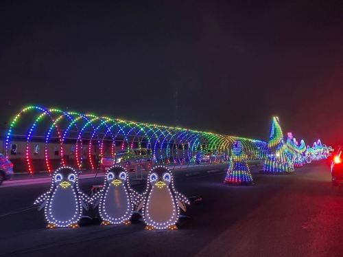 Colorful light display featuring illuminated penguins and festive shapes along a dark road at night.