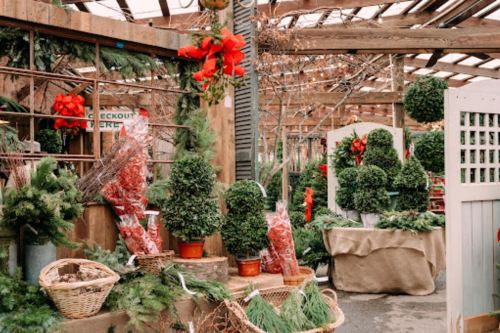 A festive market display with greenery, red decorations, and potted plants, creating a holiday atmosphere.