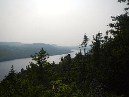 A misty landscape featuring a winding river surrounded by lush green forests and distant mountains.