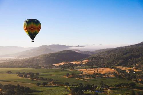 A colorful hot air balloon floats over lush green hills and vineyards under a clear blue sky.
