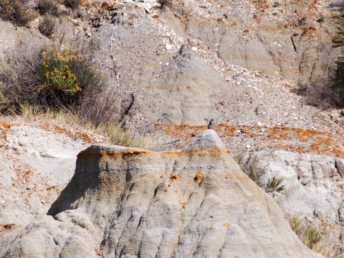 A rocky landscape with layered earth formations and sparse vegetation, featuring a small bird perched on a peak.