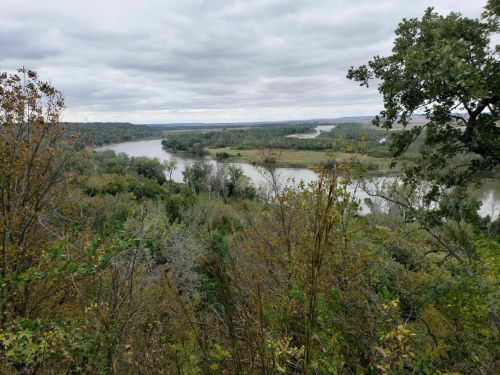 A scenic view of a winding river surrounded by lush greenery and trees under a cloudy sky.