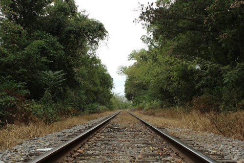 A view of railway tracks stretching into the distance, surrounded by lush greenery and overgrown grass.