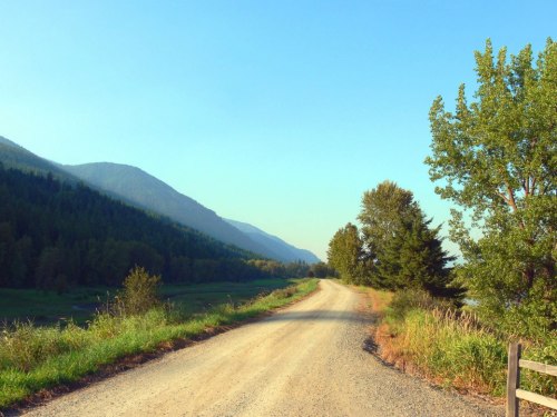A winding dirt road surrounded by trees and mountains under a clear blue sky.