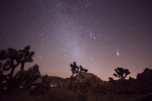 A starry night sky over a desert landscape with silhouetted Joshua trees and a bright meteor streaking across the scene.