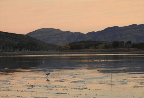 A serene landscape at dusk featuring a heron wading in a calm lake, surrounded by mountains and soft pastel skies.