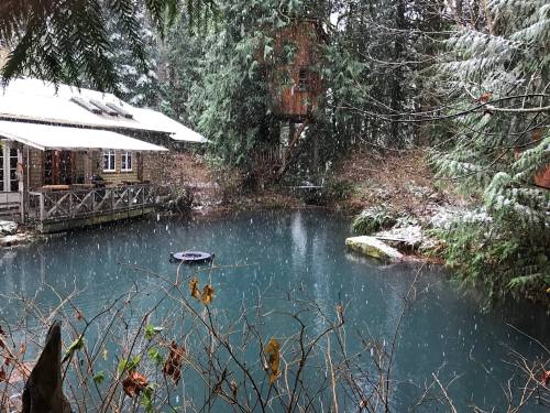 A serene pond surrounded by snow-covered trees and a rustic cabin, with gentle snowfall creating a peaceful atmosphere.