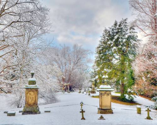 A serene winter scene in a snowy cemetery, featuring ornate gravestones and trees blanketed in white.