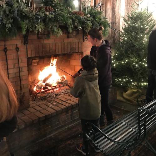 A child and an adult roast marshmallows over a cozy fireplace, surrounded by festive decorations and a Christmas tree.