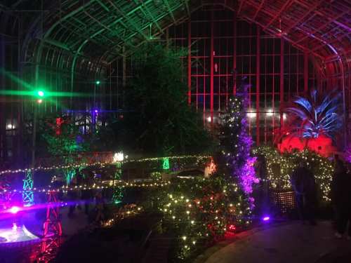A beautifully lit indoor garden with colorful lights, plants, and festive decorations creating a vibrant atmosphere.