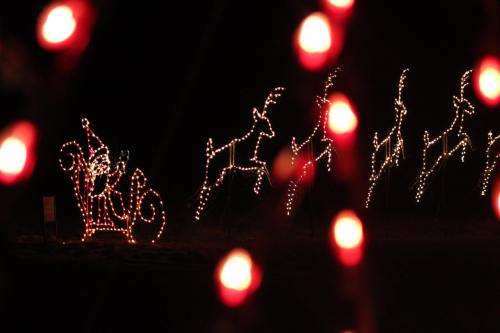 A festive display of lights featuring Santa in a sleigh and reindeer, with colorful bokeh in the foreground.