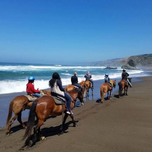 A group of people riding horses along a sandy beach with waves and cliffs in the background under a clear blue sky.