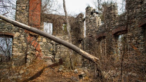Ruins of a stone building overgrown with vines and trees, featuring a fallen tree trunk inside the structure.