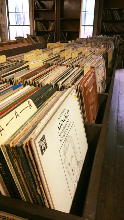A row of vinyl records in a wooden display, with labels and album covers visible in a cozy, well-lit space.