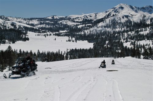 Two snowmobiles traverse a snowy landscape with mountains and pine trees in the background under a clear blue sky.