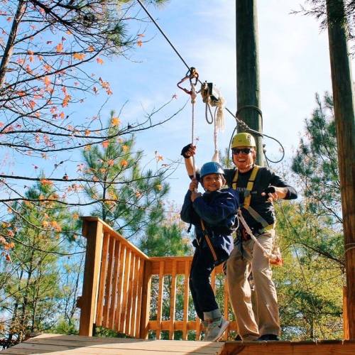 A child and an adult in helmets prepare to zipline from a wooden platform surrounded by trees.
