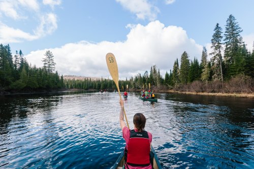 A group of people canoeing on a calm river surrounded by lush green trees and a blue sky with clouds.