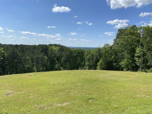 A grassy clearing surrounded by trees, with a clear blue sky and fluffy clouds in the background.