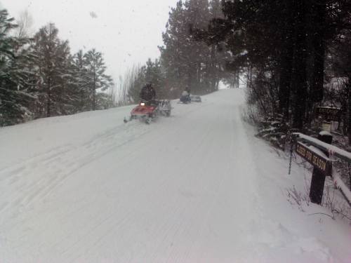 Two snowmobiles travel on a snowy trail surrounded by trees, with snow gently falling in the background.