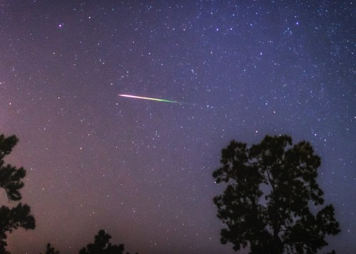 A bright meteor streaks across a starry night sky, framed by silhouetted trees below.