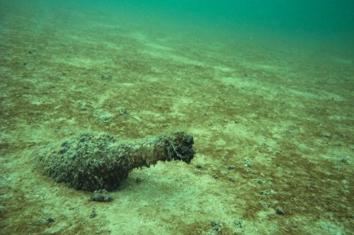 An underwater scene showing a partially buried object covered in sediment, surrounded by a sandy ocean floor.