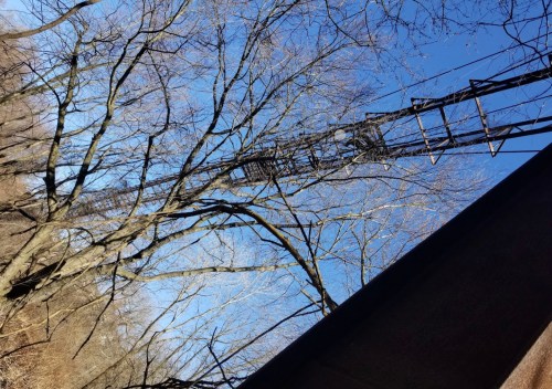 A view of bare trees against a clear blue sky, with a tall structure partially visible in the background.