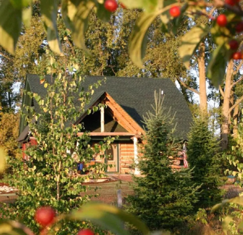 A cozy log cabin surrounded by trees and greenery, with a clear blue sky in the background.